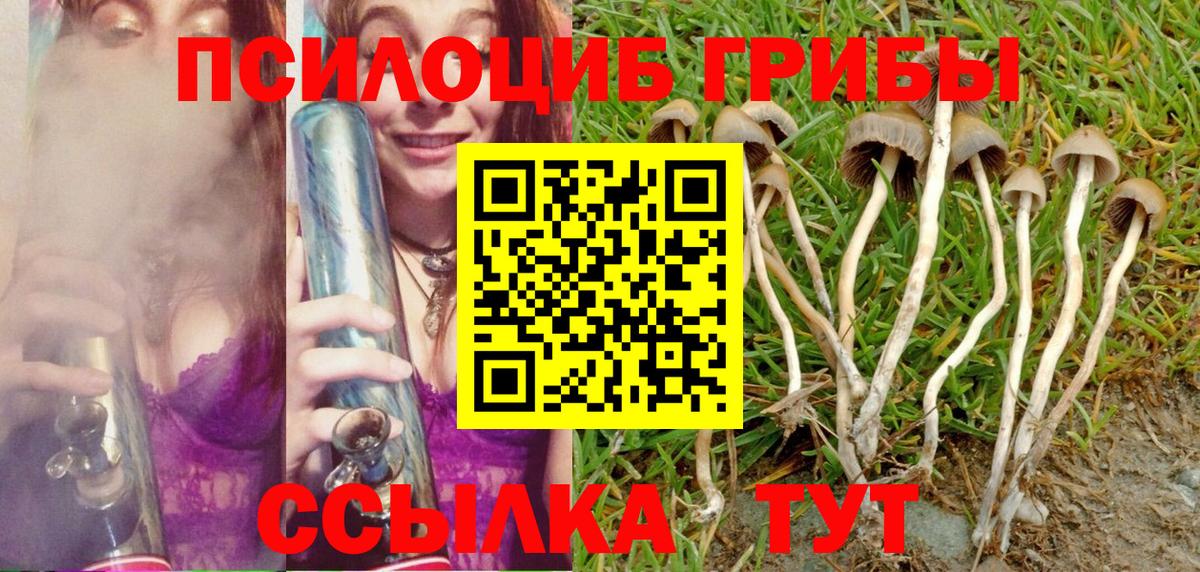 Псилоцибиновые грибы Magic Shrooms Белореченск