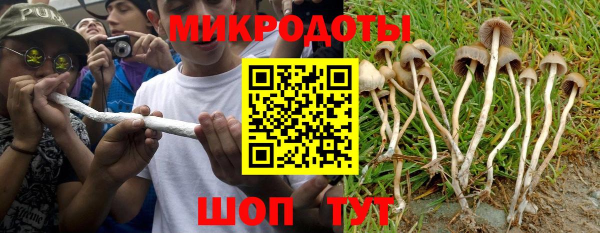 Галлюциногенные грибы ЛСД  Вход с VPN  Белореченск  Псилоцибиновые грибы ЛСД 